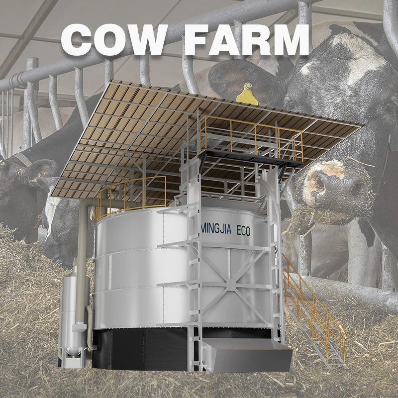 product-800-800 product-800-800