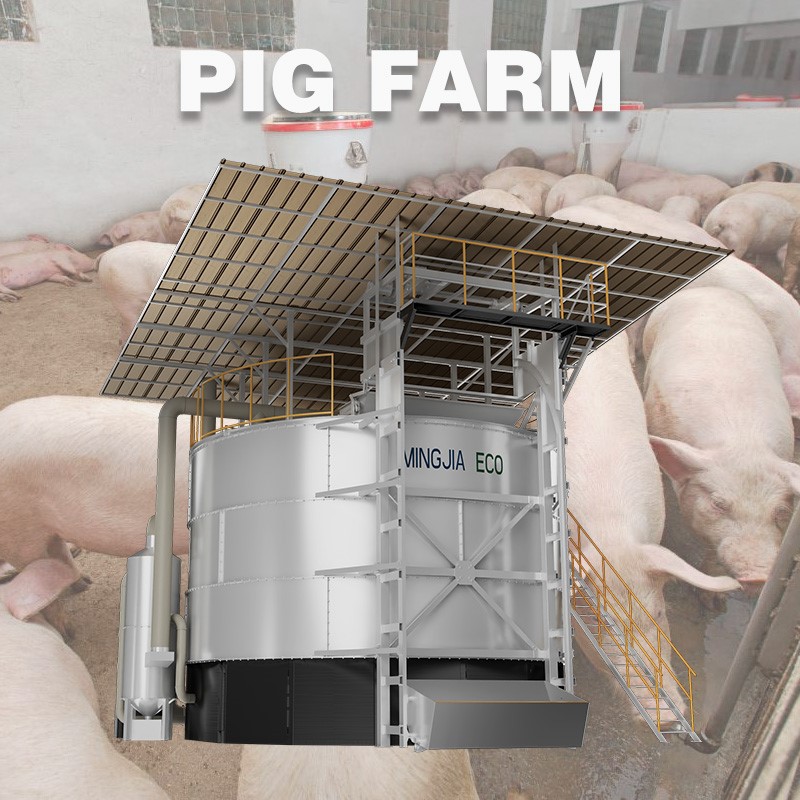 product-800-800 product-800-800